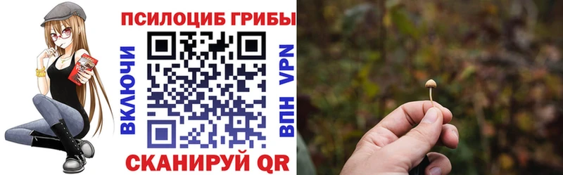 mega онион  Нарьян-Мар  Галлюциногенные грибы MAGIC MUSHROOMS 